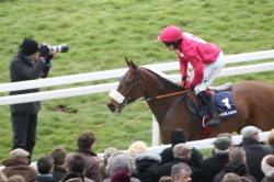 Cheltenham 2013, Horses, Jockeys
