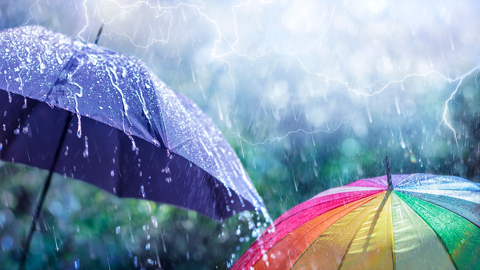 Online betting companies uk weather forex market hours app