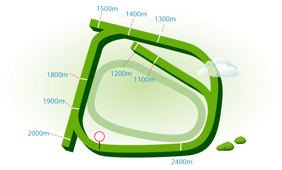 Rosehill Flat Racecourse Map