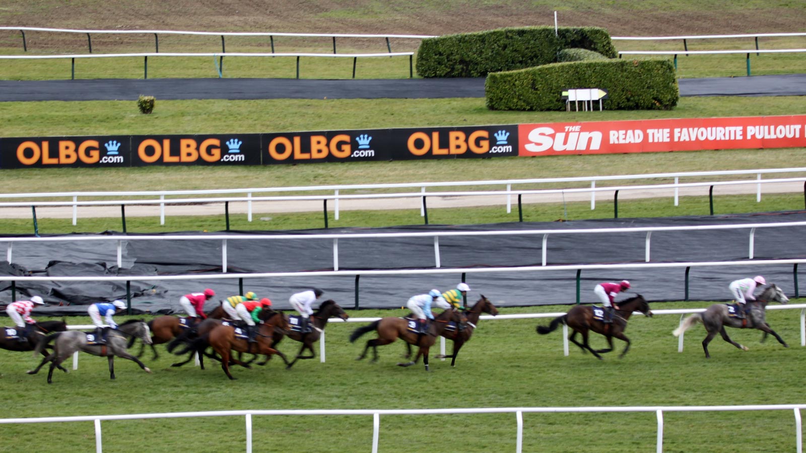 quickpick pro horse racing for android quickpick pro horse racing for android