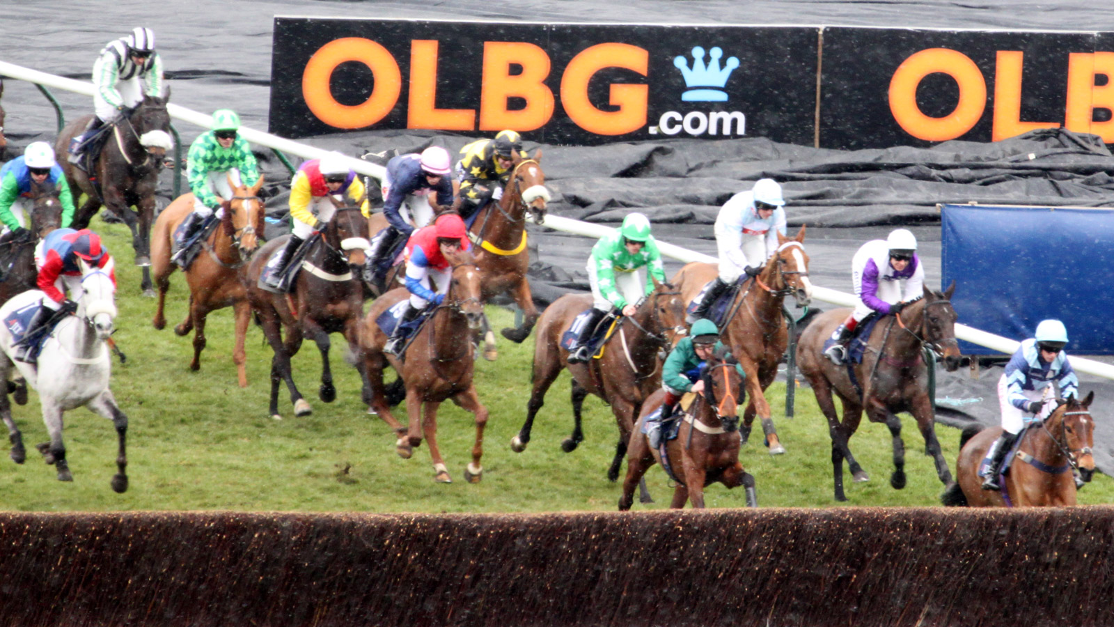 Types Of Horse Racing Bets Types Of Horse Racing Bets