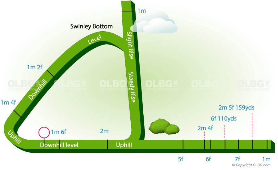 Ascot Flat Racecourse Map