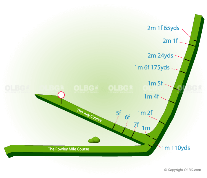 Newmarket Flat Racecourse Map