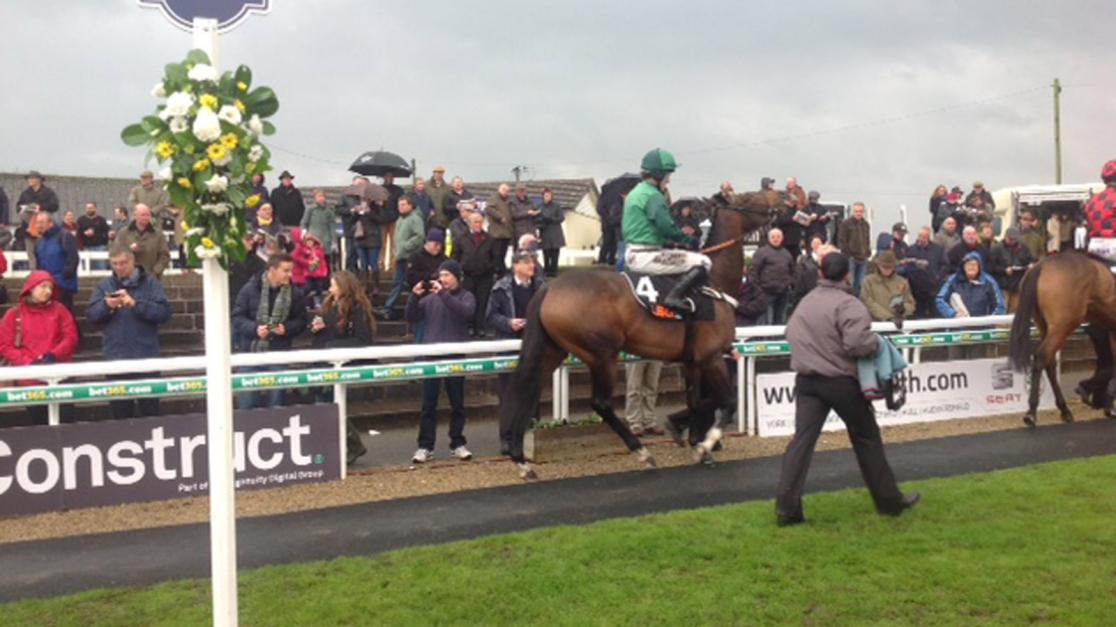 Betting on Royal Ascot from Australia | Which Bookmaker?