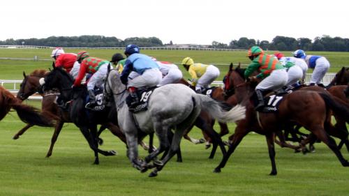 Best Bookie In Ireland for Betting on Horse Racing