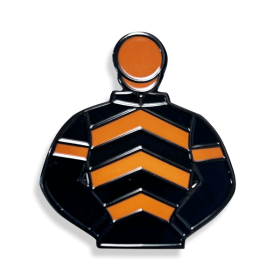 OLBG Racing Pin