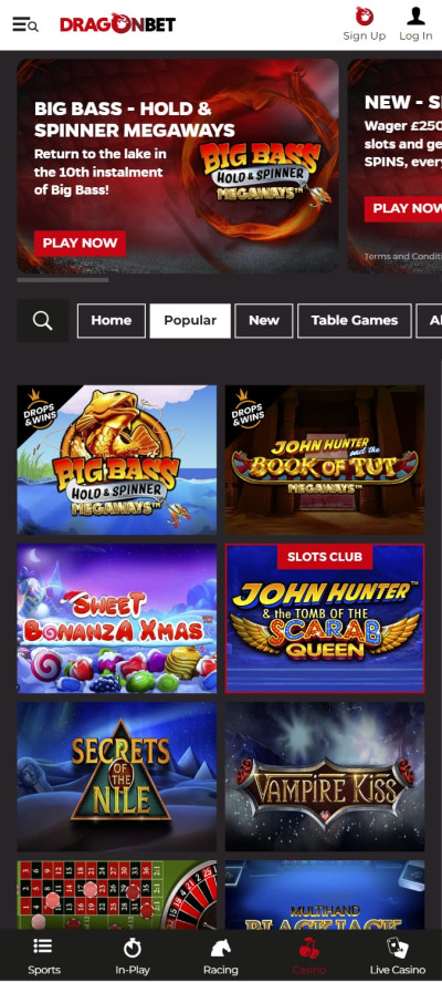 DragonBet Casino mobile app
