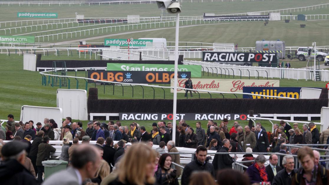 Horse Racing Terms and Abbreviations