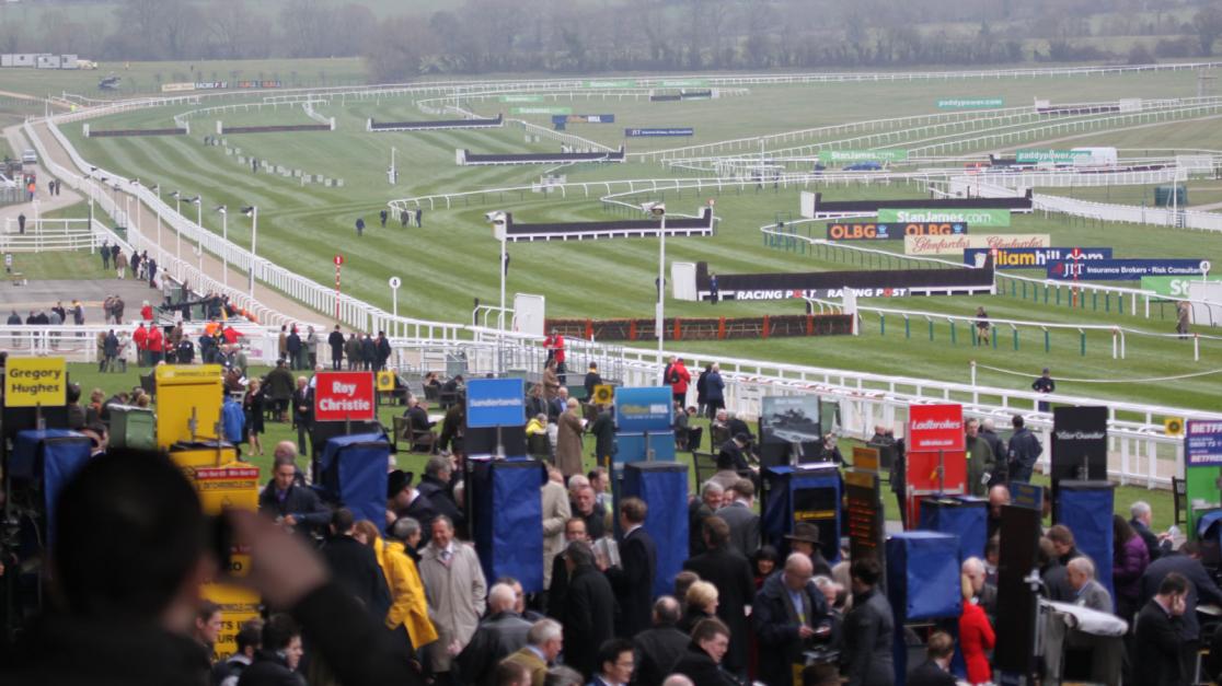 Cheltenham Festival Bookie Offers for Ireland